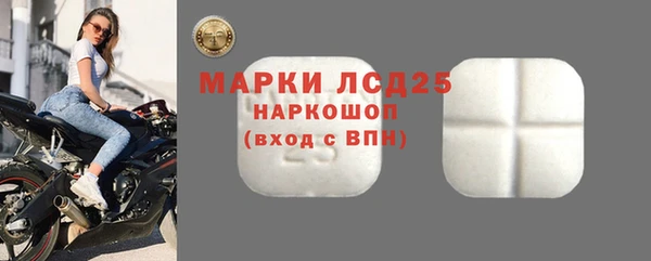 индика Болохово