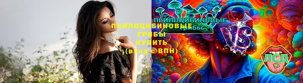 mdpv Беломорск