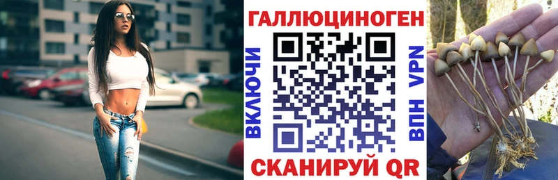 Галлюциногенные грибы Cubensis  Горняк 